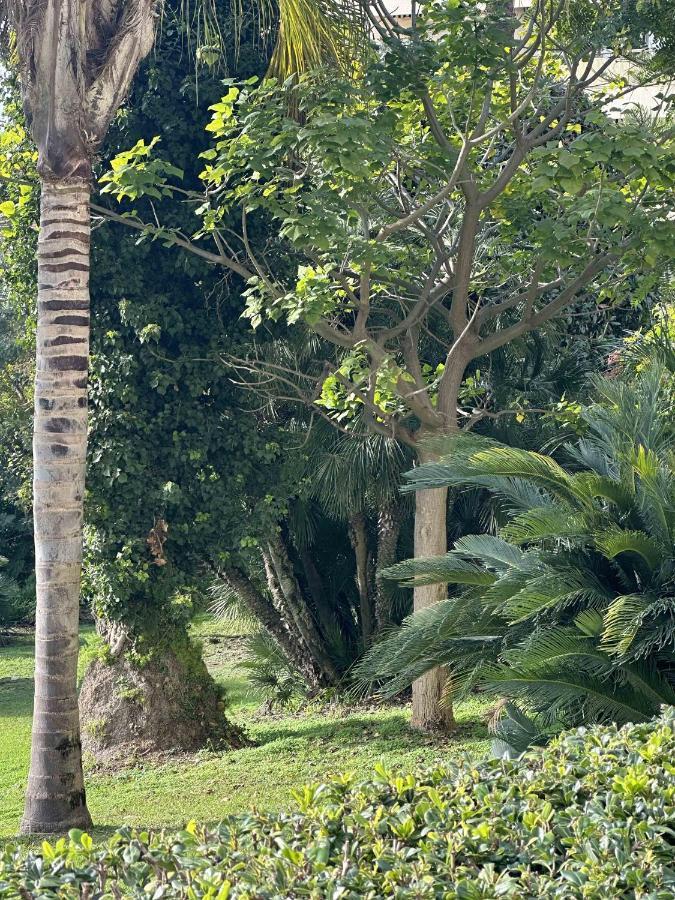 Cannes Studio Situe Dans La Residence Gallia Historique Exterior photo